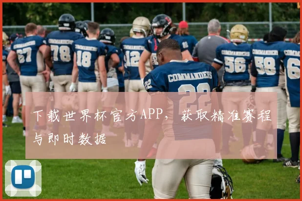 下载世界杯官方APP，获取精准赛程与即时数据