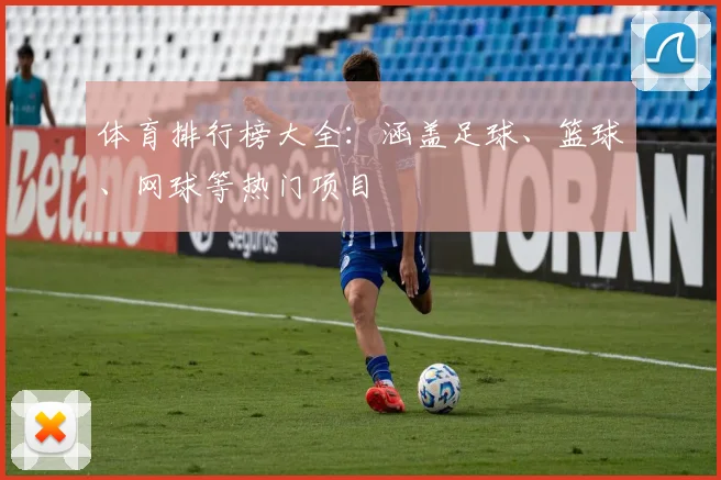 体育排行榜大全：涵盖足球、篮球、网球等热门项目