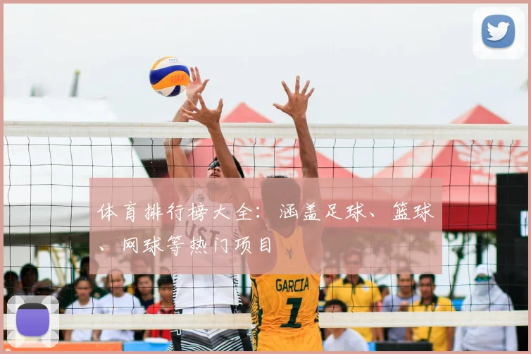 体育排行榜大全：涵盖足球、篮球、网球等热门项目