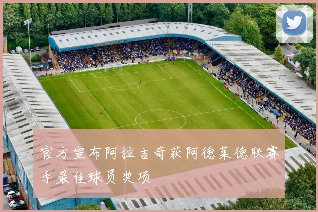 官方宣布阿拉吉奇获阿德莱德联赛季最佳球员奖项